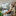Favicon van salonwarrig.nl