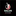 Favicon van salusrotterdam.nl