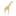 Favicon van samejisafaris.com