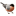 Favicon van sanstroppay.nl