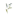Favicon van sarahjongejanuitvaartbegeleiding.nl
