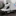Favicon van sasagar.nl
