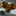 Favicon van saskiadefrel.nl