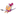 Favicon van saskiahalfmouw.nl