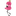 Favicon van sazokidsenco.nl