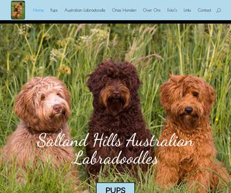 Salland Hills Australian Labradoodles