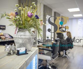 Salon Pure Color