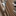 Favicon van scheepstimmerman.nl