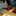 Favicon van schenkstudio.nl