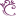 Favicon van schminkwebshop.nl