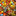 Favicon van schrijfateliercaleidoscoop.nl