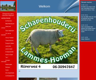 http://www.schapenhouderijlammeshopman.nl