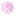 Favicon van selectiv.nl