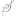Favicon van sensperfection.nl