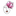 Favicon van senzibeauty.nl