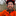Favicon van servireboomverzorging.nl