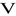 Favicon van shop.vlvt.nl