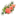 Favicon van shadeofyalo.nl