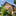 Favicon van shakkei.nl