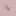 Favicon van shengny.com