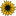 Favicon van shopbasicallybritt.com