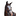 Favicon van shtraining.nl