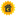 Favicon van sinnich-advies.nl