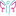 Favicon van sizeforyou.nl