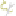 Favicon van sjaakdenbreeje.nl