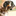 Favicon van smakterheide.nl