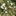 Favicon van sophiefalkena.nl
