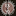 Favicon van sol-y-yo.com