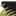 Favicon van southwestgreens.eu