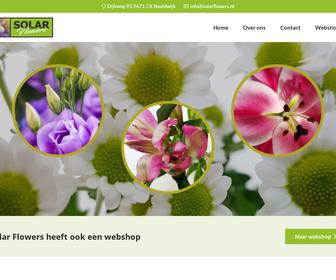 http://www.solarflowers.nl
