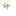 Favicon van speelweide.com