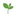 Favicon van spelelier.nl