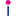 Favicon van spicenscan.nl