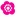 Favicon van springblossom.nl