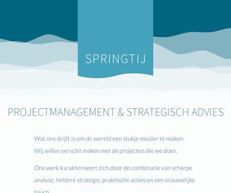 https://springtij-advies.nl