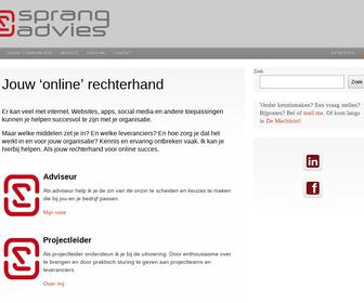 http://www.sprangadvies.nl