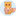 Favicon van squeezecat.com