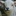Favicon van stadshoeve.nl
