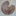 Favicon van stadshoutleeuwarden.nl