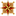 Favicon van stationnoord.eu