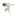 Favicon van steefensuus.nl