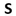 Favicon van steenwinkelconsultancy.nl