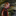 Favicon van steffridael.com
