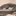 Favicon van stefrozemeijer.nl
