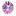 Favicon voor stephanienypels.com