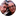 Favicon van stout-smits.nl